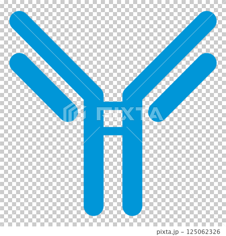 Immunoglobulin G (IgG) illustration / simple version (single item) 125062326