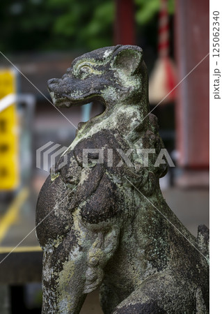 お金が貯まる秩父聖神社の山犬型の狛犬 125062340