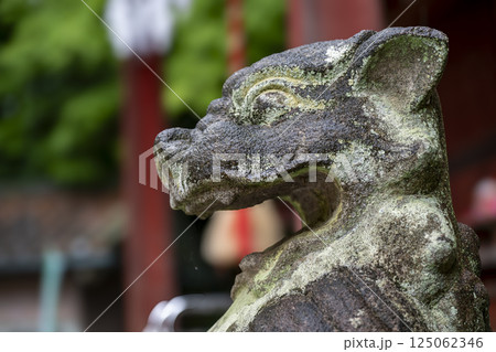 お金が貯まる秩父聖神社の山犬型の狛犬 お金が貯まる秩父聖神社の山犬型の狛犬 125062346
