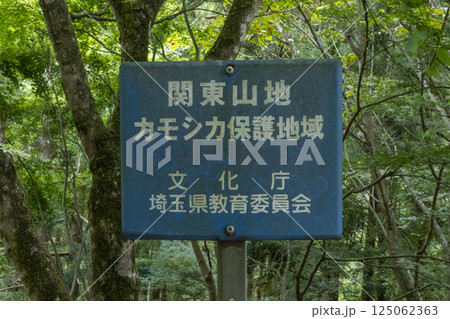 荒川上流のカモシカ保護地域の標識、看板 125062363