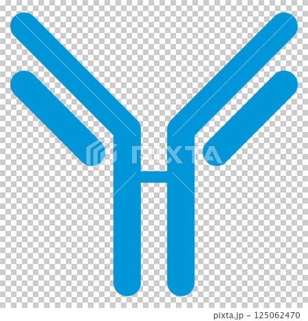 Immunoglobulin D (IgD) illustration / simple version (single item) 125062470