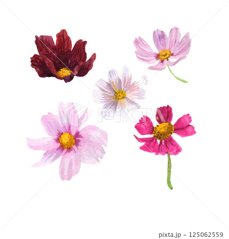 Set of watercolor illustrations with flowers 125062559