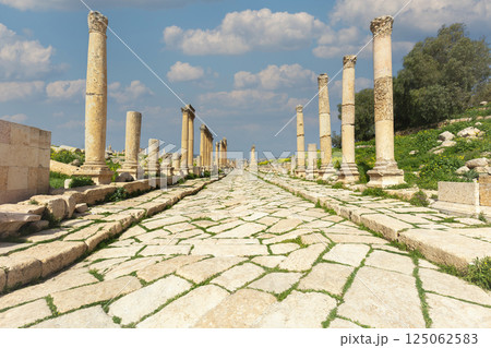 Grass growing between paving stones of ancient roman road leading through colonnaded street in jerash, jordan Grass growing between paving stones of ancient roman road leading through colonnaded street in jerash, jordan 125062583
