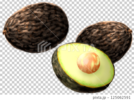アボカドpng 125062591