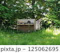 Abandoned Piano in Forest, Symbol of Lost Dreams and Nostalgia 125062695