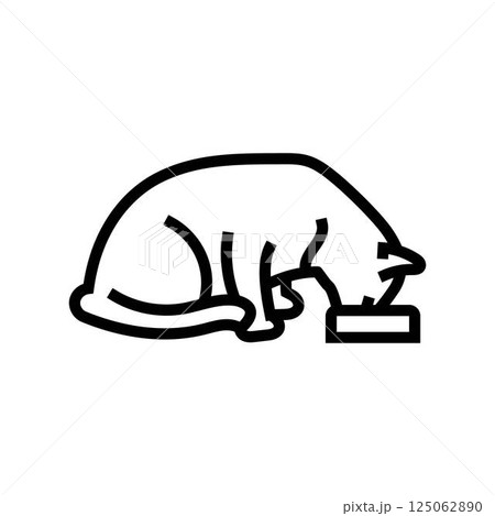 food bowl cat breeding line icon vector illustration 125062890