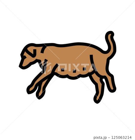 pregnant dog color icon vector illustration pregnant dog color icon vector illustration 125063214