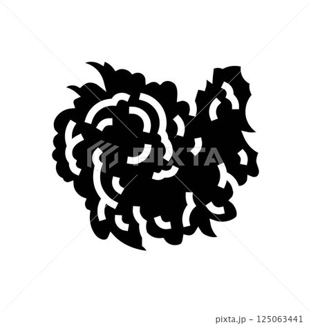 tropical storm hurricane disaster glyph icon vector illustration tropical storm hurricane disaster glyph icon vector illustration 125063441