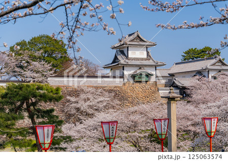 (石川県)金沢城 桜満開の石川門・石川櫓 朝 (石川県)金沢城 桜満開の石川門・石川櫓 朝 125063574