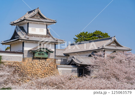 (石川県)金沢城 桜満開の石川門・石川櫓 朝 (石川県)金沢城 桜満開の石川門・石川櫓 朝 125063579