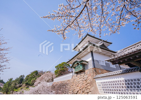 (石川県)金沢城 桜満開の石川門・石川櫓 朝 (石川県)金沢城 桜満開の石川門・石川櫓 朝 125063591