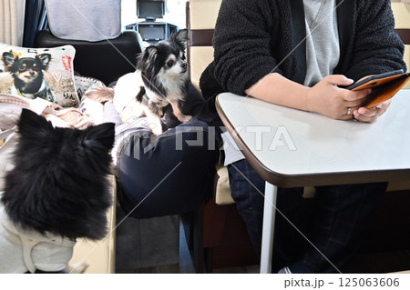 愛犬とキャンピングカー旅行　スマホで犬と同伴できる観光地を検索中の女性 125063606