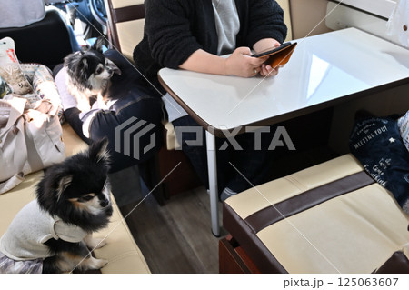 愛犬とキャンピングカー旅行 スマホで犬と同伴できる観光地を検索中の女性 愛犬とキャンピングカー旅行 スマホで犬と同伴できる観光地を検索中の女性 125063607