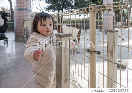 【相模原市立麻溝公園のふれあい動物広場でヤギを見る1歳児】 125063728