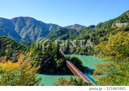 紅葉の大井川湖　2024年 125063991