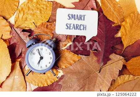 Clock is on a pile of leaves with the words smart search written above it 125064222