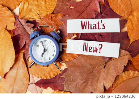Clock is on a pile of leaves with the words What's New written on top of it 125064236
