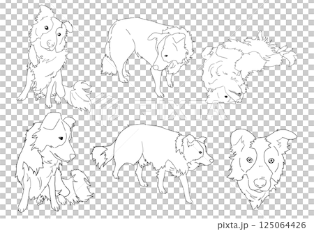 邊境牧羊犬線描集 邊境牧羊犬線描集 125064426