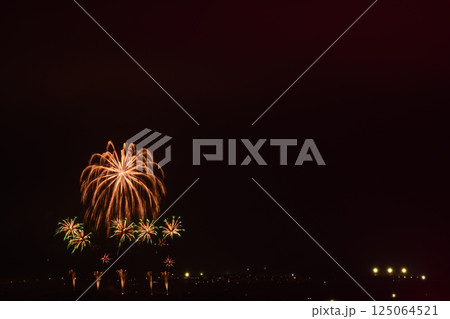 初夏の夜空を彩る花火 125064521