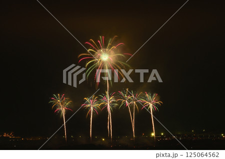 初夏の夜空を彩る花火 125064562