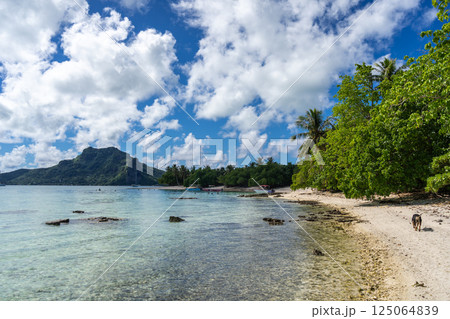 Scenic View of Maupiti Island from a Tropical Beach in French Polynesia 125064839