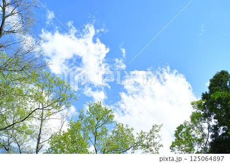 青空と雲イメージ 125064897
