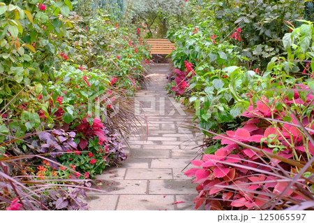 秋の草花に囲まれた庭園と石畳とベンチ 秋の草花に囲まれた庭園と石畳とベンチ 125065597