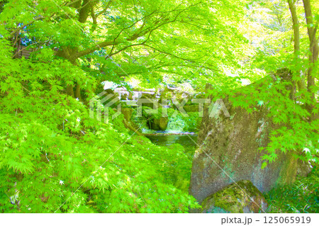 [愛知県]名古屋市東区の徳川園 125065919