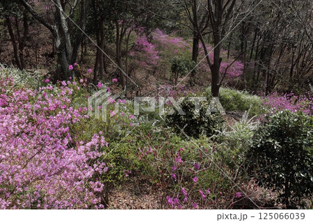 山手台・南公園 山手台・南公園 125066039