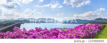 Panorama landscape in Thailand - Rachaphrapha Dam in Phang Nga province during the day, Cheo lan Lake Dam. Purple Bougainvillea flowers in the foreground, mountains and Cheo Lan Lake on Panorama landscape in Thailand - Rachaphrapha Dam in Phang Nga province during the day, Cheo lan Lake Dam. Purple Bougainvillea flowers in the foreground, mountains and Cheo Lan Lake on 125066085