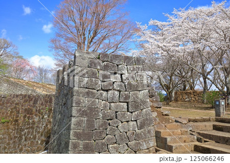【大分県】晴天の岡城 大手門跡と満開の桜 【大分県】晴天の岡城 大手門跡と満開の桜 125066246