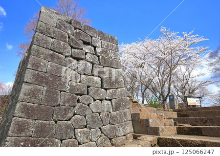 【大分県】晴天の岡城 大手門跡と満開の桜 125066247