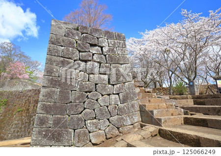 【大分県】晴天の岡城 大手門跡と満開の桜 【大分県】晴天の岡城 大手門跡と満開の桜 125066249