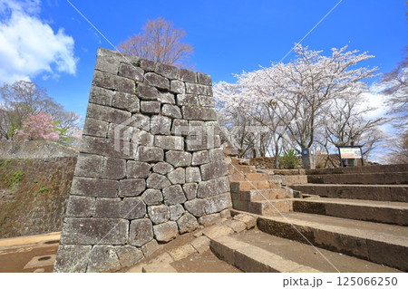【大分県】晴天の岡城 大手門跡と満開の桜 【大分県】晴天の岡城 大手門跡と満開の桜 125066250