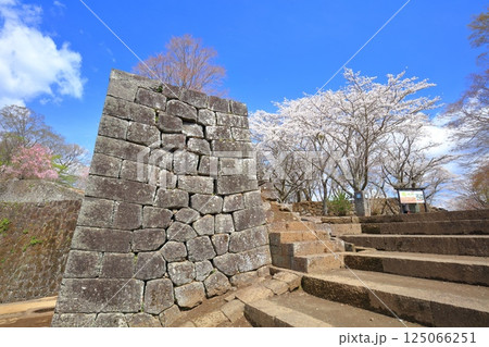 【大分県】晴天の岡城 大手門跡と満開の桜 【大分県】晴天の岡城 大手門跡と満開の桜 125066251