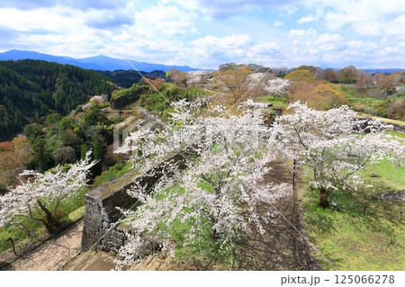 【大分県】晴天の岡城 本丸から見た満開の桜 【大分県】晴天の岡城 本丸から見た満開の桜 125066278