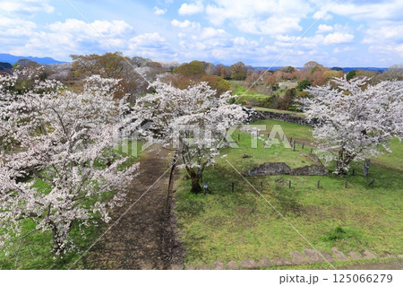【大分県】晴天の岡城 本丸から見た満開の桜 【大分県】晴天の岡城 本丸から見た満開の桜 125066279
