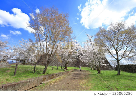 【大分県】晴天の岡城 本丸と満開の桜 125066286