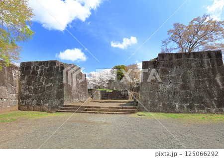 【大分県】晴天の岡城 太鼓櫓跡と満開の桜 125066292