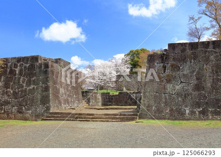 【大分県】晴天の岡城 太鼓櫓跡と満開の桜 125066293
