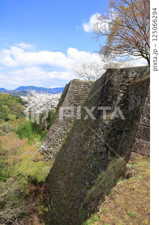 【大分県】晴天の岡城の石垣と満開の桜 125066294
