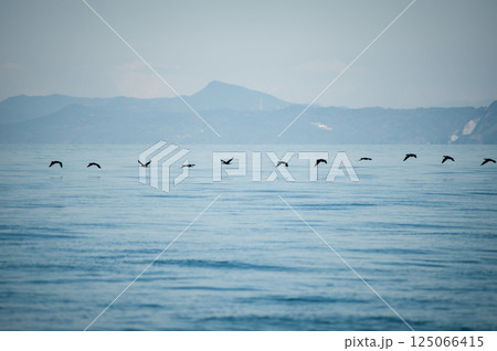 瀬詰崎　早崎海峡　長崎　口之津 125066415