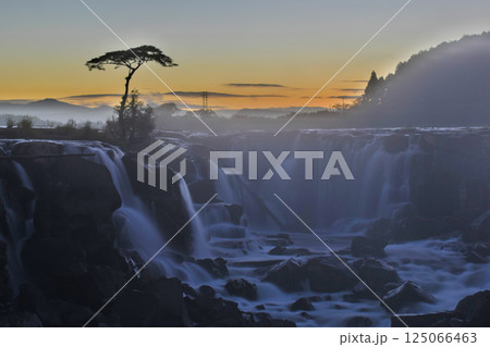 朝焼けの曽木の滝 125066463