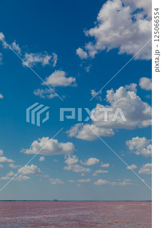 Landscape of pink lake and blue sky with clouds on the horizon 125066554