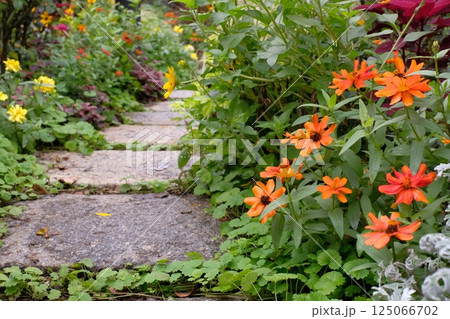 秋の草花に囲まれた庭園と石畳 秋の草花に囲まれた庭園と石畳 125066702