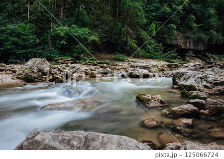 landscape, green forest and mountain river water 125066724