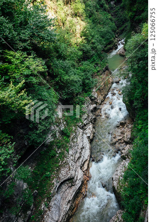 landscape, green forest and mountain river water 125066755