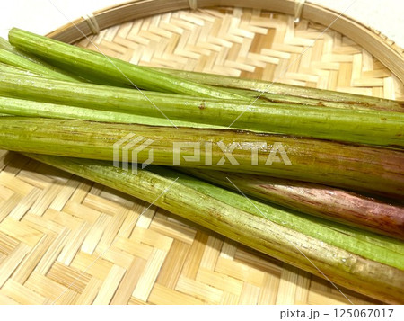 春の山菜ふきの葉柄をカットして洗った3 125067017