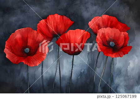 ANZAC day, red poppies flowers, illustration in watercolor style 125067199