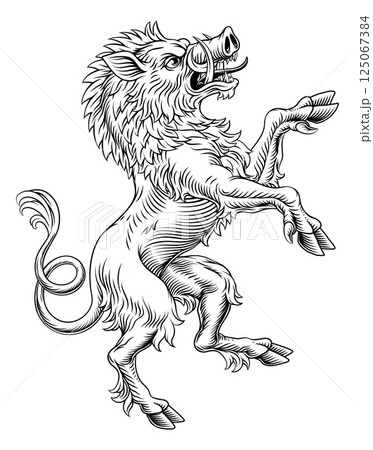 Heraldic Coat of Arms Crest Rearing Heraldry Boar Heraldic Coat of Arms Crest Rearing Heraldry Boar 125067384
